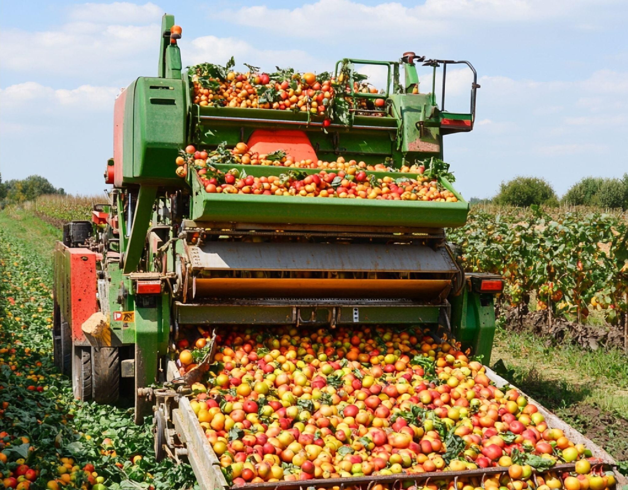 corso trattore raccogli frutta
